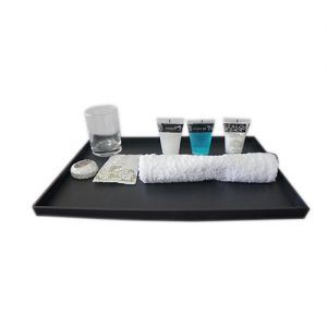 Shower Room Tray